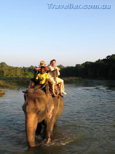 Сафари на слонах. Читван. Непальский национальный парк