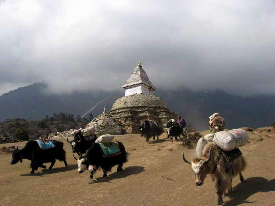 Гималаи. Во время путешествия в Непал. Организация активных туров в Непал.