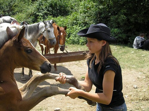 Знакомство с лошадьми. Начало конного похода по Крыму