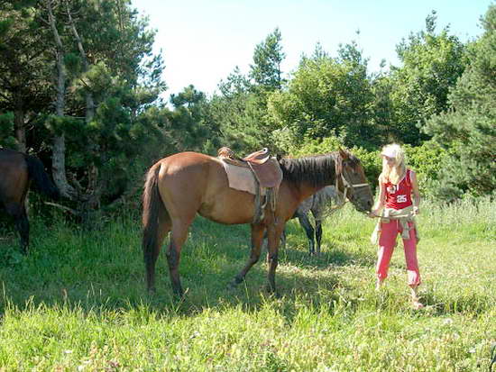 Конный поход по Крыму, общение людей с конями, конные прогулки.