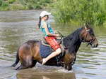 Конные туры по Крыму. Купание лошадей в озере.