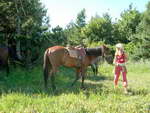 Конный поход по Крыму, общение людей с конями, конные прогулки. 