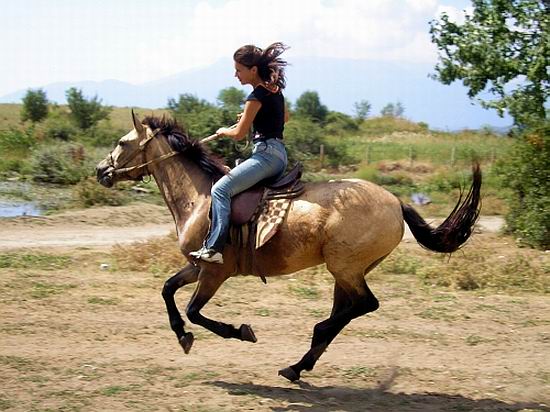 Езда галопом - захватывает дух. В конном походе по Крыму.