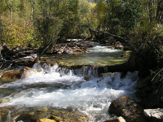 Джамагатское ущелье. Конный тур на Кавказе по озерам и водопадам Дуута.