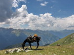 На привале. В конном походе к подножию Эльбруса, на Кавказе.
