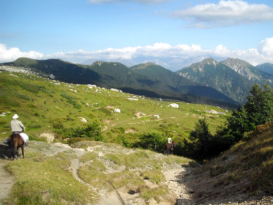Природа Кавказа, район горы Фишт, Адыгея.
