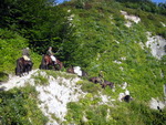 Конные туристы на горной дороге, ведущей к приюту Фишт, у подножья горы Фишт.