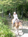 Конные прогулки в Сочи. Верховая езда по горным дорогам в районе Сочи. 