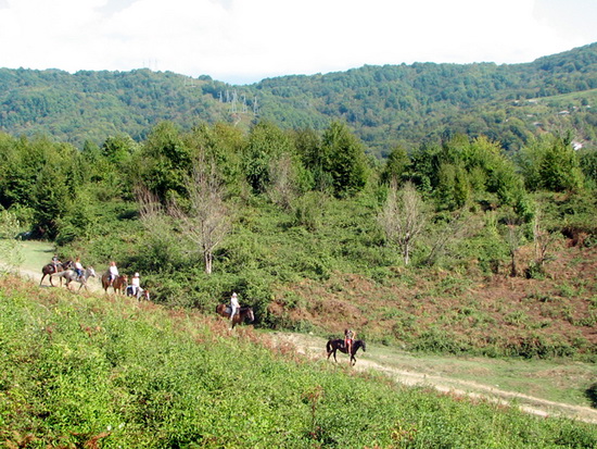 Активный отдых в районе Сочи: конные походы и туры по горам Кавказа.