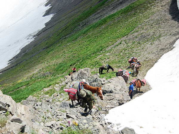 Сванетия, подъем на горный перевал, туристы и кони.