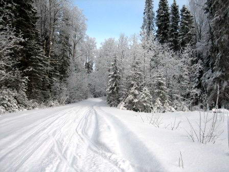 Карелия: снегоходный тур навстречу зимним Кижам.