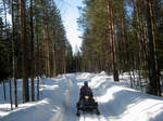 Сафари на снегоходах в Карелии. На трассе через карельские леса