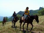 Крым на лошадях. Конные походы по горным дорогам Крыма