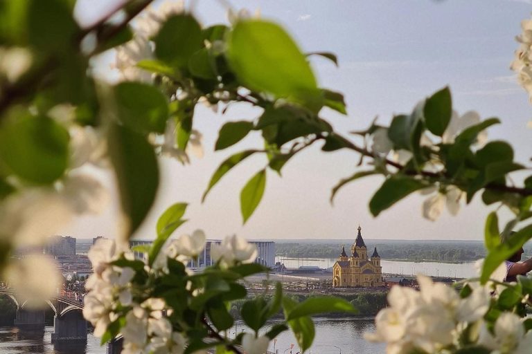 Гарний пейзаж