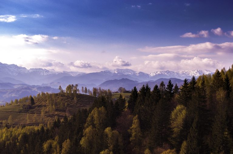 Карпати